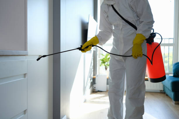 Best Home Mold Removal  in Appleton City, MO
