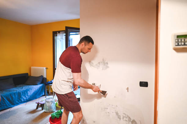 Trusted Appleton City, MO Mold Removal Experts